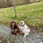 Maite vom Nikolausberg und Duke Ellington